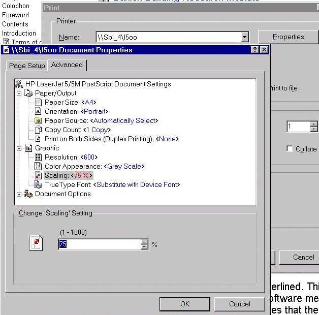 Printer setup dialog box. Change the scaling to 75% for optimum help printouts.